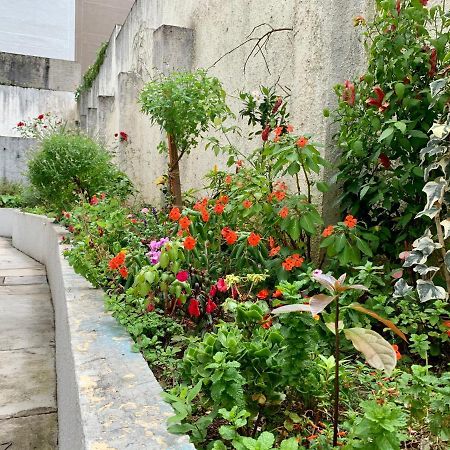 205- Apartamento 1 Quarto Suite, Encantador, Amplo E Decorado, Mobiliario Moderno, Cozinha Completa Com Utensilios , Excelente Vista Da Cidade E Localizacao Privelegiada No Bairro Bigorrilho , Curitiba Exteriér fotografie